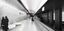 Готовность монолита станции БКЛ метро «Кленовый бульвар» превысила 80%