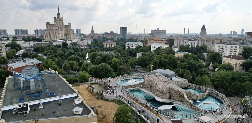Собянин открыл после реконструкции павильон «Ластоногие» в Московском зоопарке
